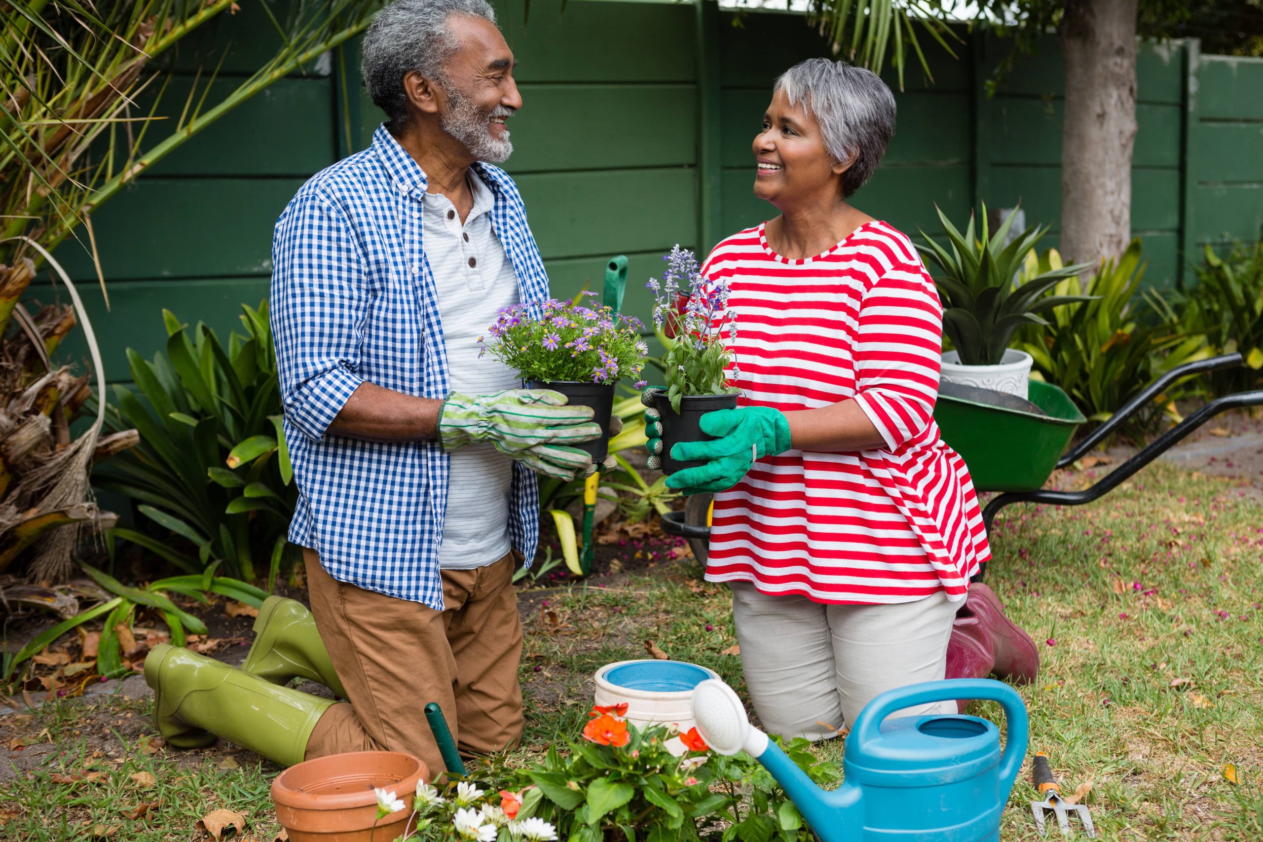 A Beginner's Guide to Hydroponic Gardening