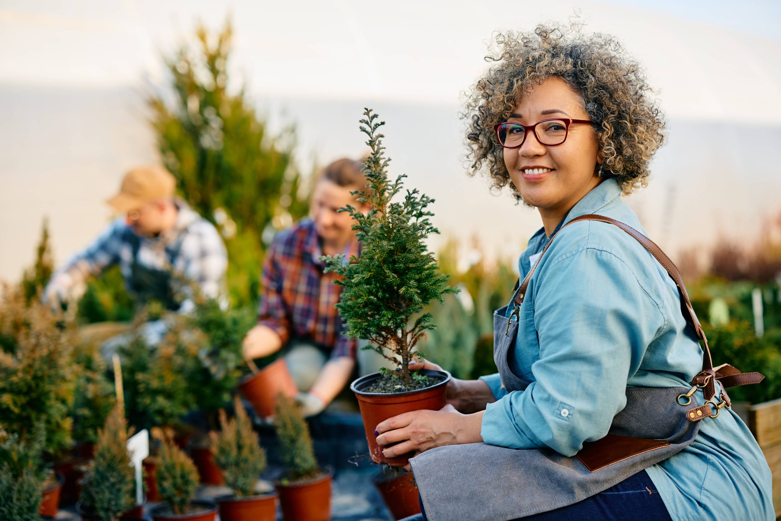 Building Raised Garden Beds for Enhanced Plant Growth