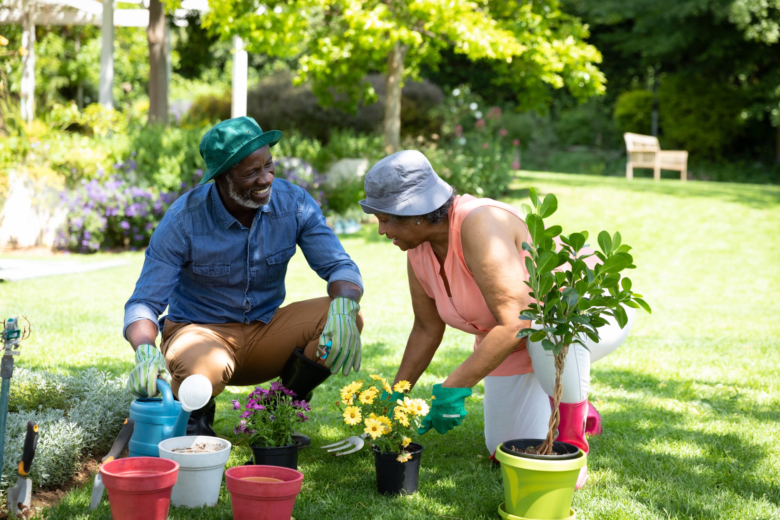 Creating a Rain Garden for Sustainable Water Management