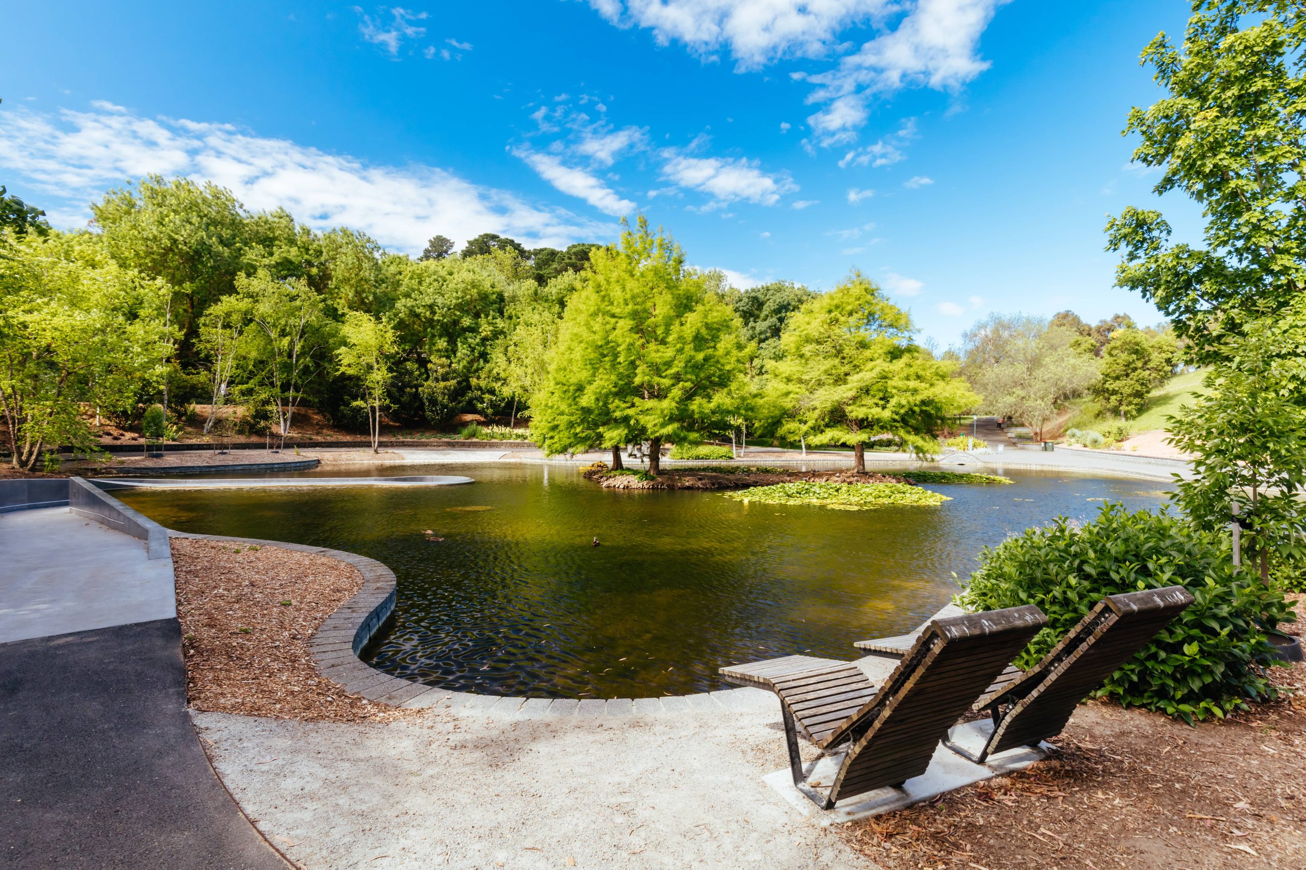 Design a Rain Garden for Sustainable Landscaping