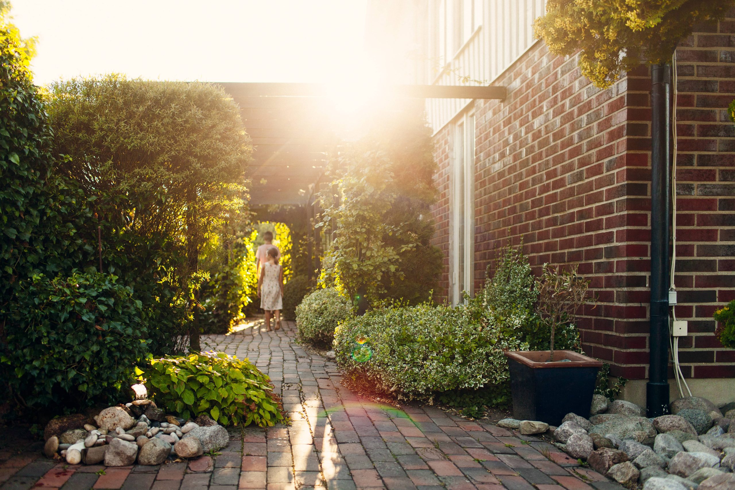 Designing a Garden with Edible Plants: A Delight for the Senses and the Plate