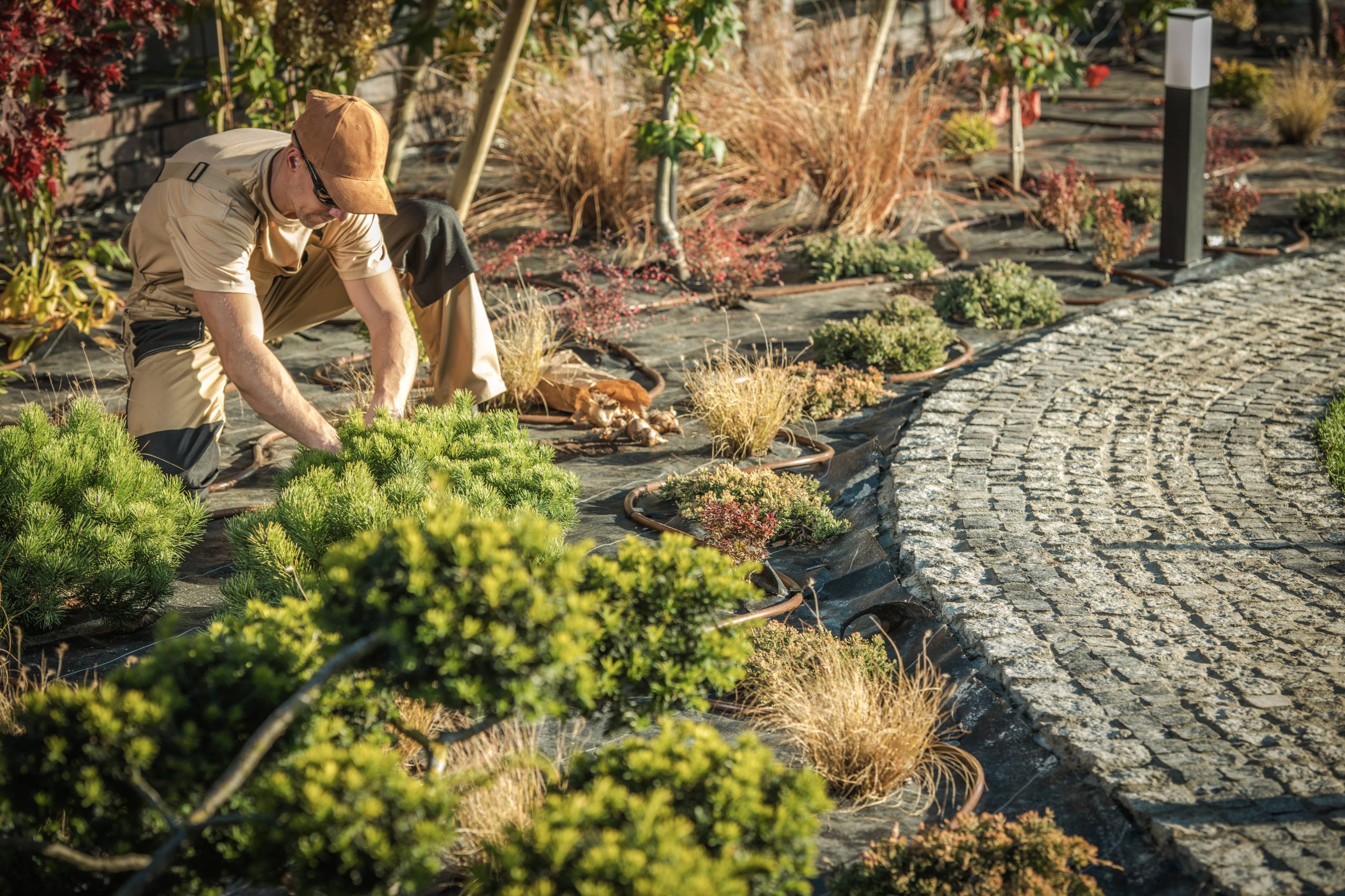 Designing a Minimalist Garden with Simplicity and Elegance