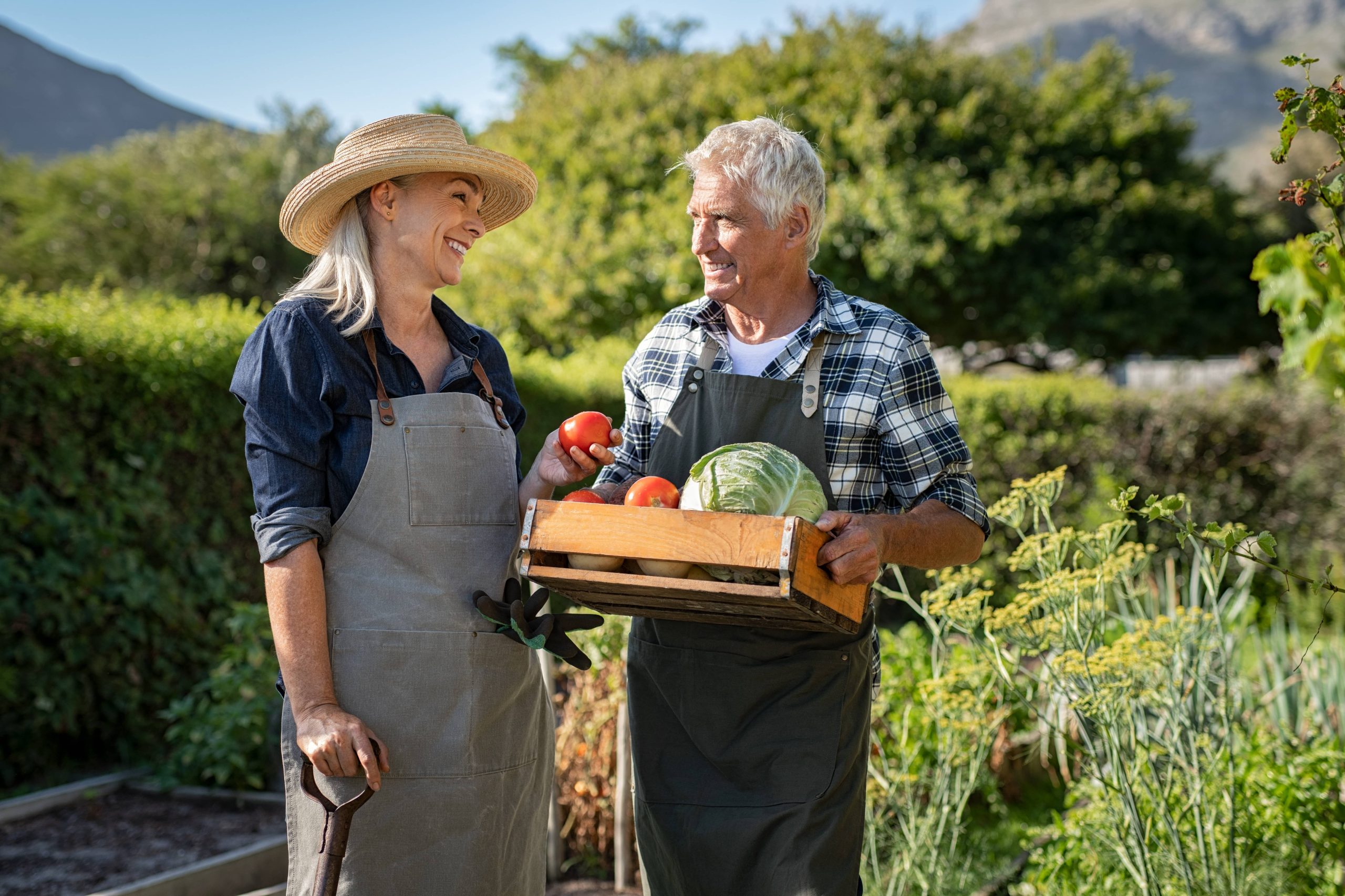 Every Beginner Needs Essential Gardening Tools