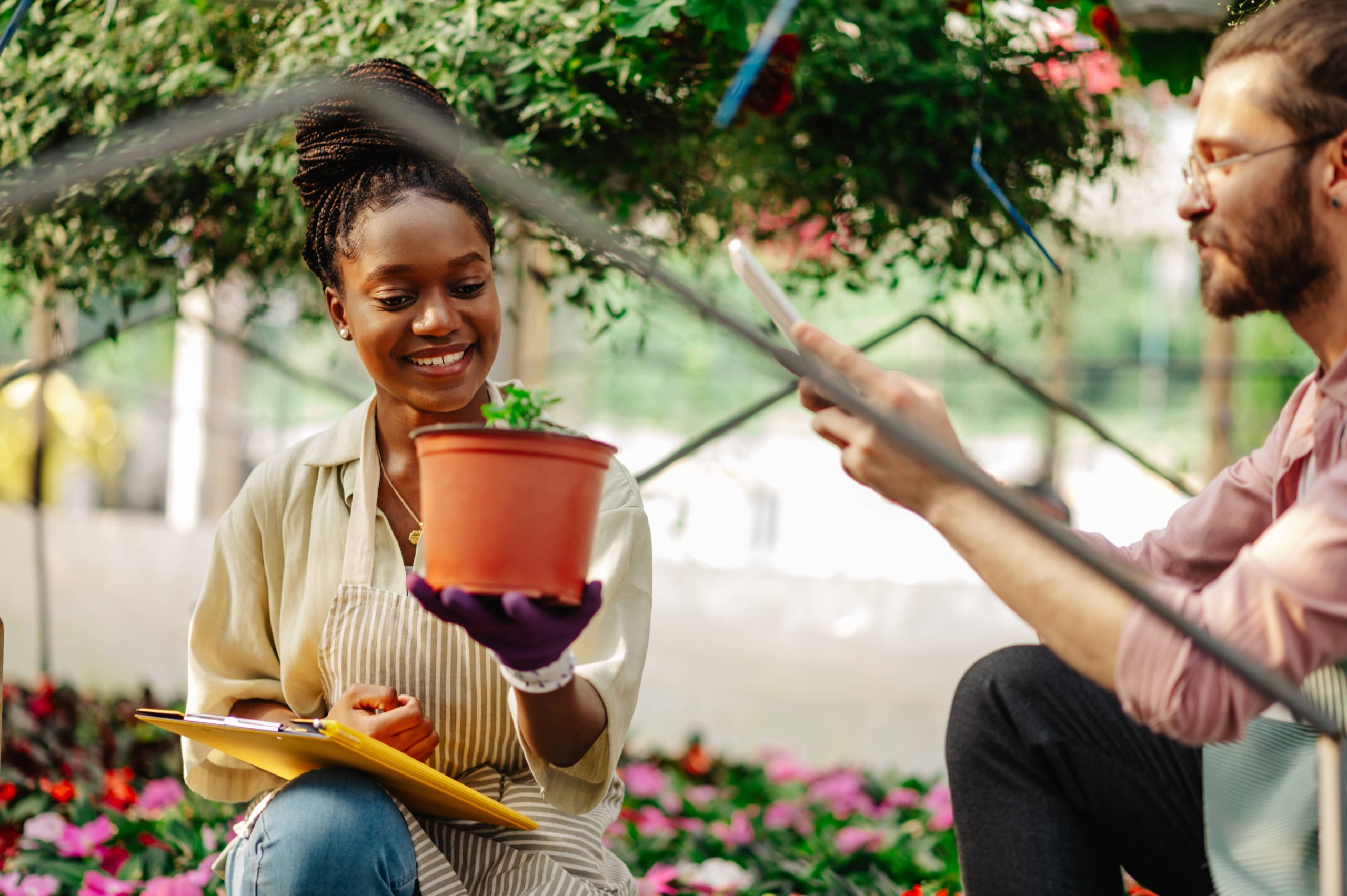 Growing Flowers for a Vibrant Garden