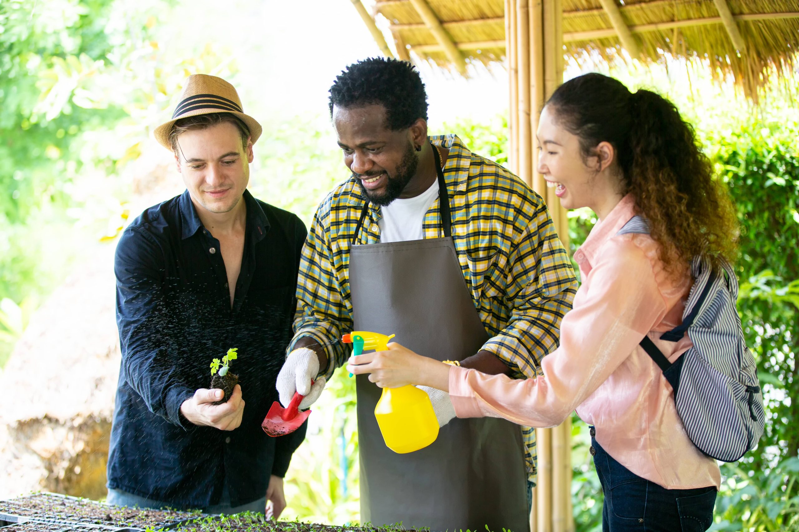 Growing a Butterfly Garden in Your Backyard