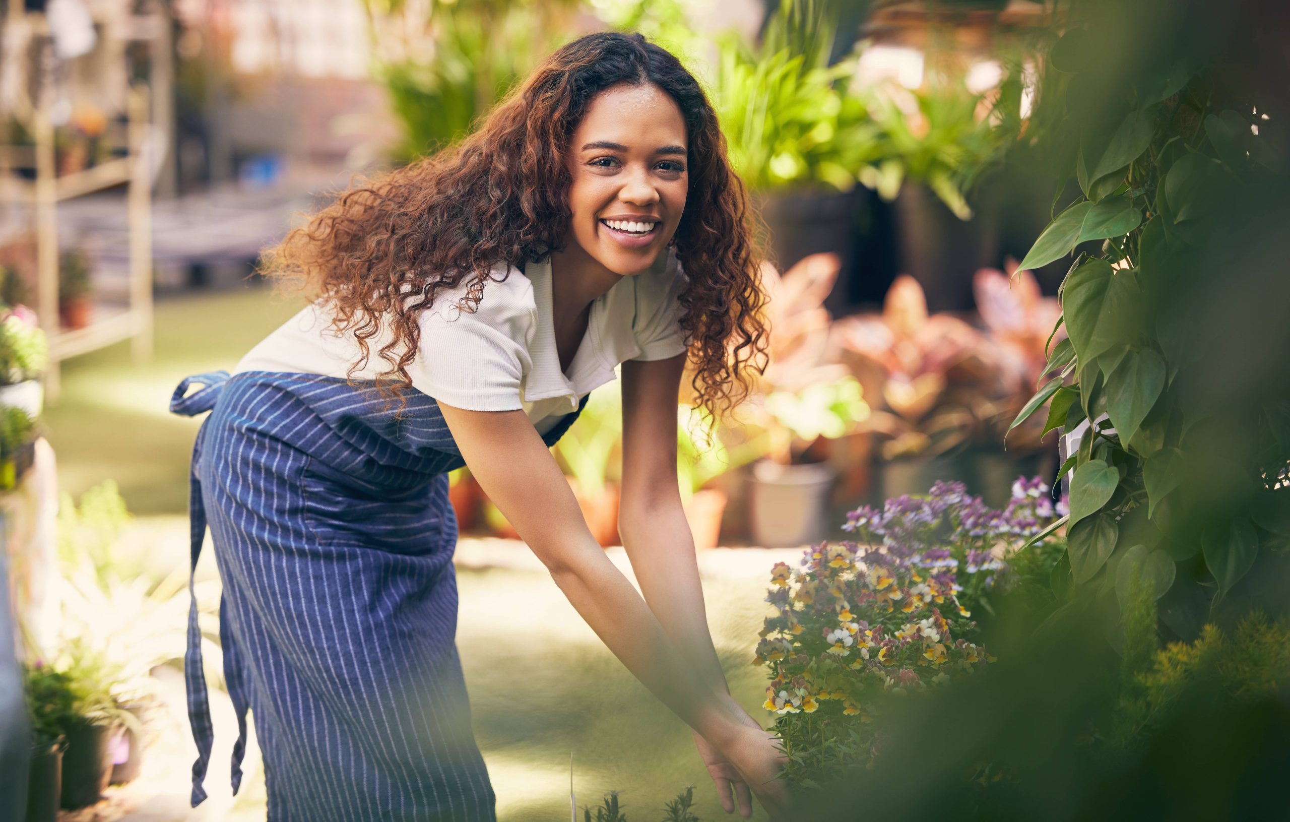 How to Design a Beginner-Friendly, Low-Maintenance Garden