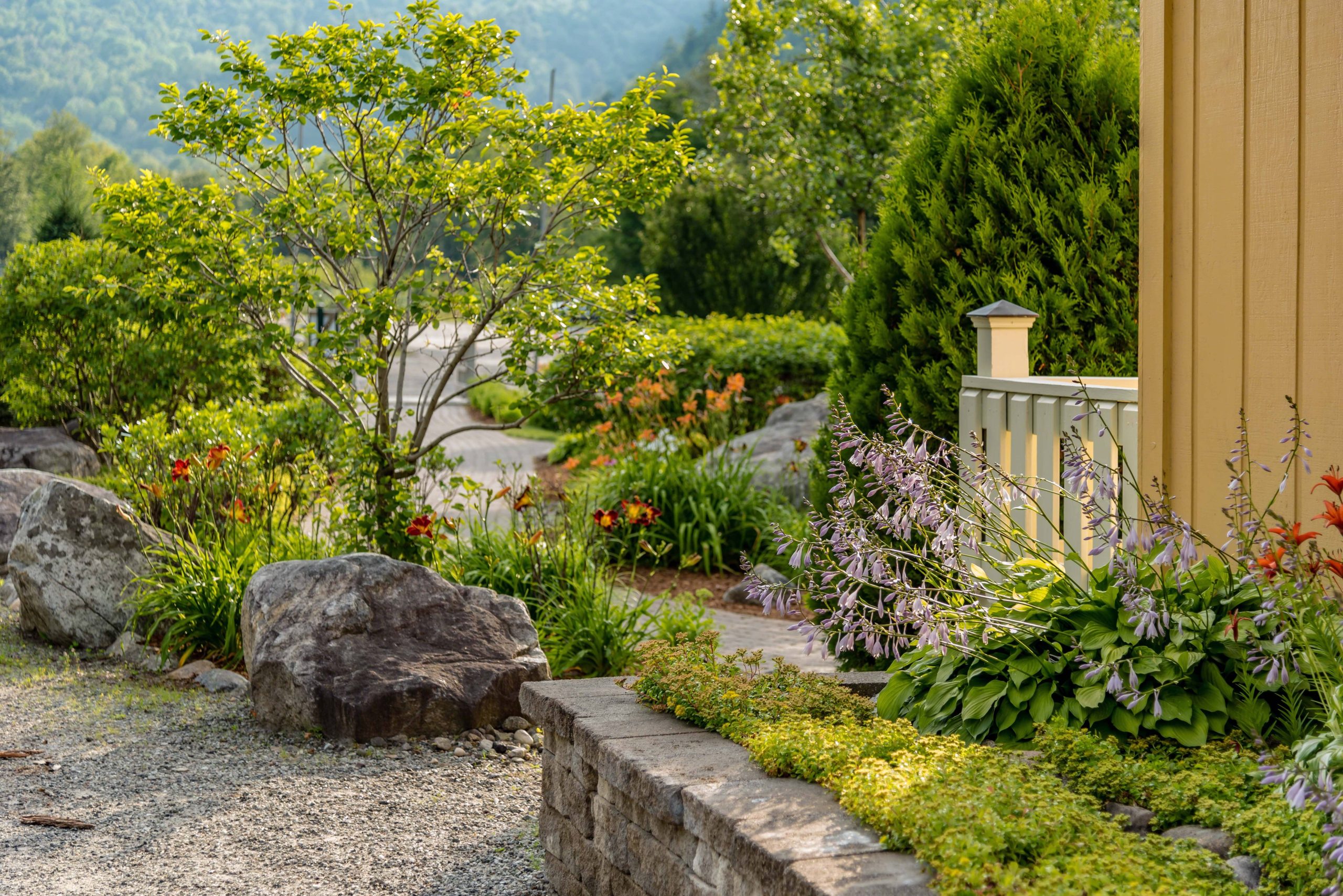 Planning a Rock Garden: Selecting the Right Plants and Designing an Effective Layout