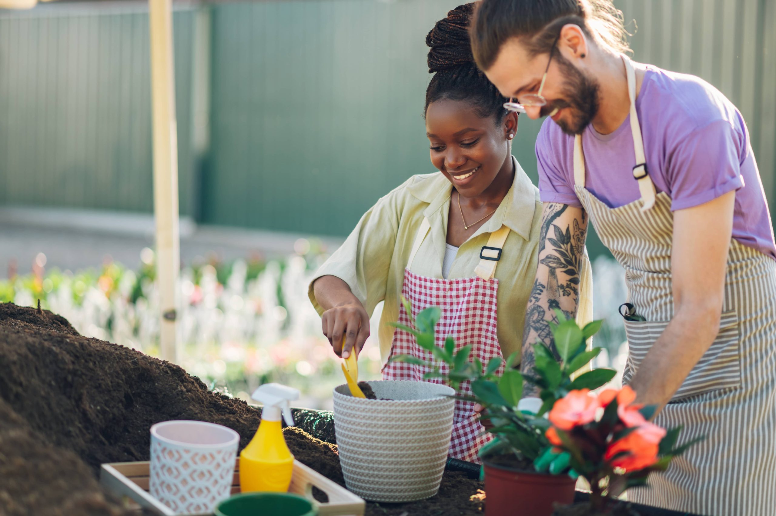 Starting a Container Garden: Essential Information for Success