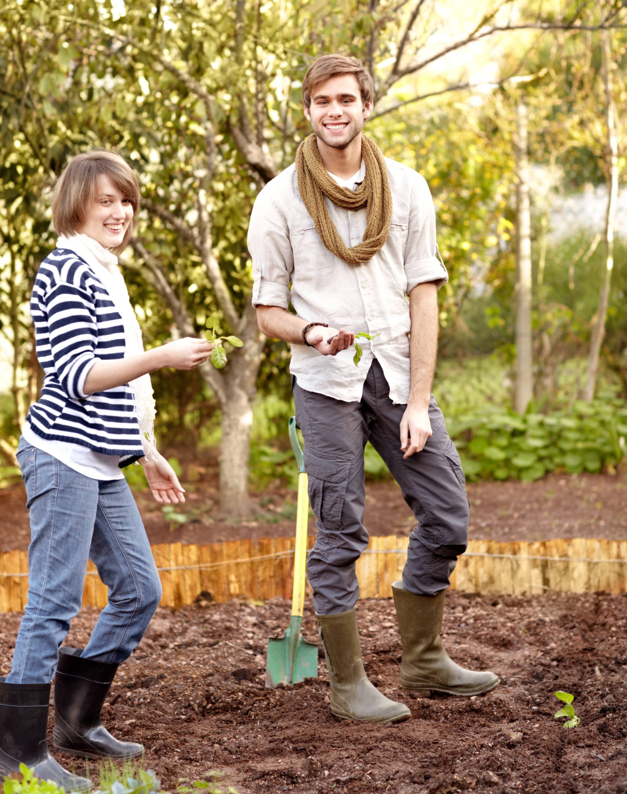 Starting a Herb Garden from Scratch