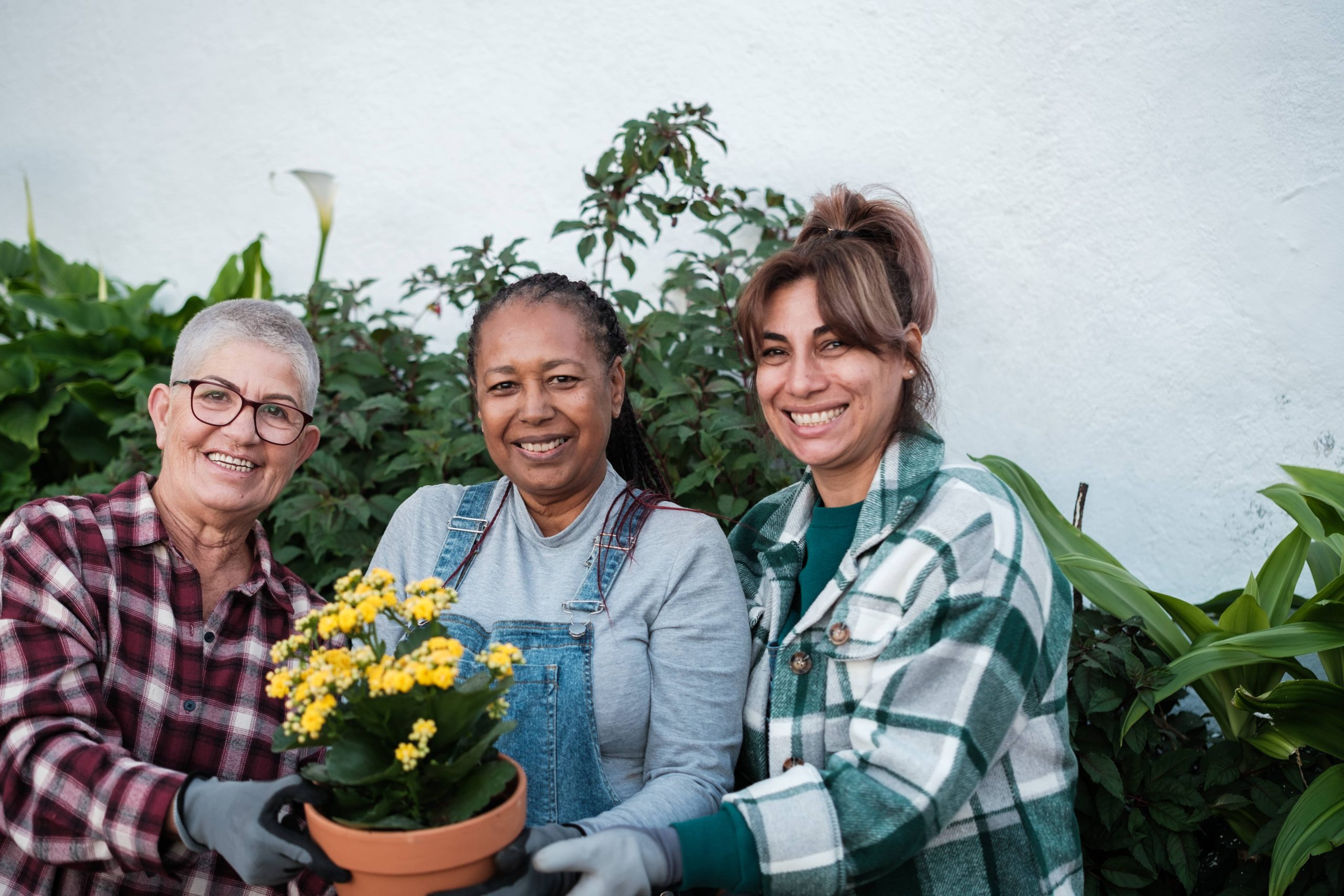 Steps for Creating a Pollinator-Friendly Garden