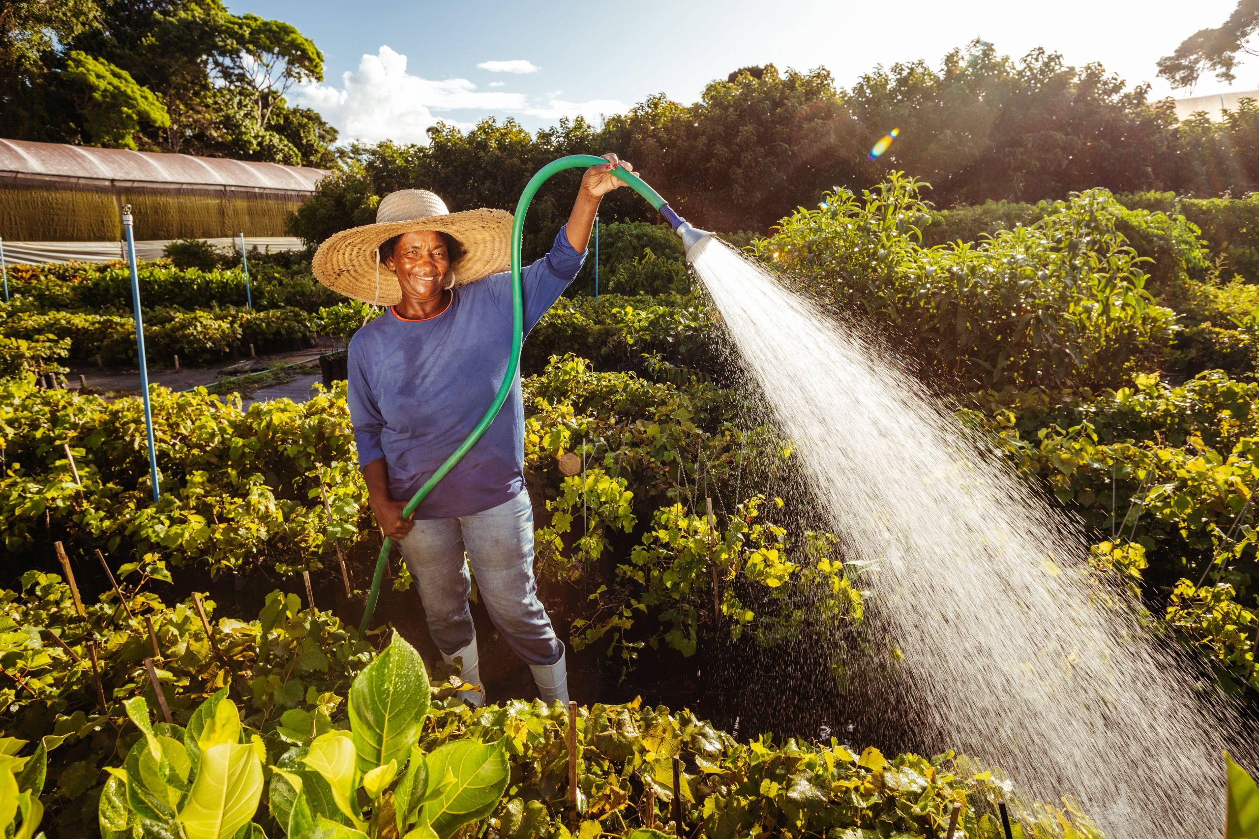 Using Mulch to Enhance Your Garden